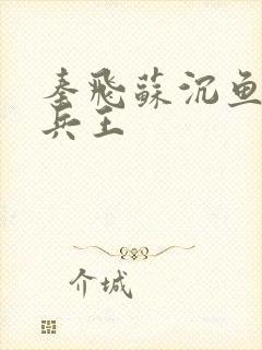 秦飞苏沉鱼绝代兵王