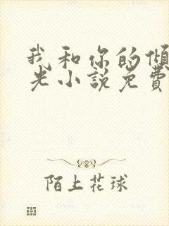 我和你的倾城时光小说免费阅读全文