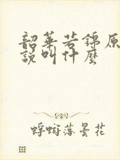 韶华若锦原著小说叫什么