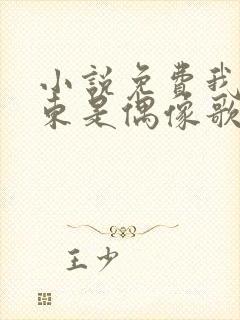 小说免费我的房东是偶像歌手