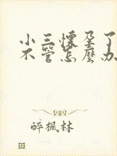 小三怀孕了男方不管怎么办封面