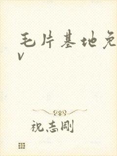 毛片基地免费av