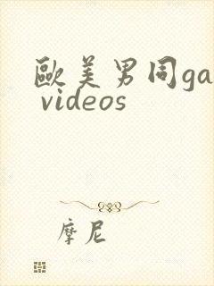 欧美男同gay videos