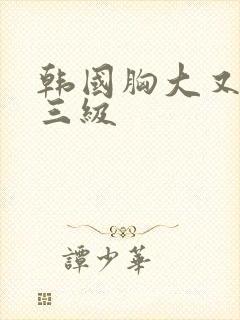 韩国胸大又好看三级