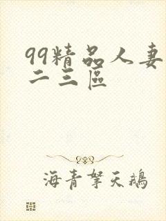 99精品人妻一二三区