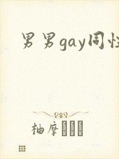 男男gay同性