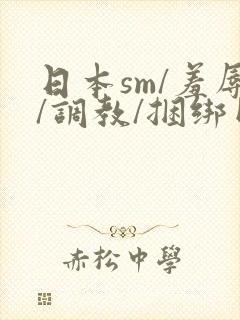 日本sm/羞辱/调教/捆绑网站封面