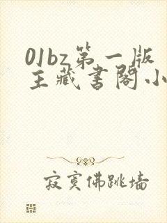 01bz第一版主藏书阁小说网址