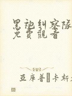 黑袍纠察队在线免费观看