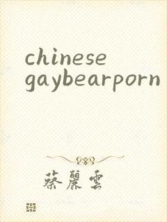 chinesegaybearporn封面