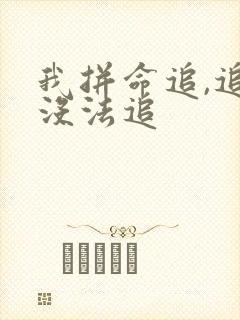 我拼命追,追到没法追