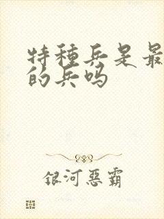 特种兵是最厉害的兵吗