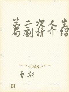 第二次人生大结局剧情介绍封面