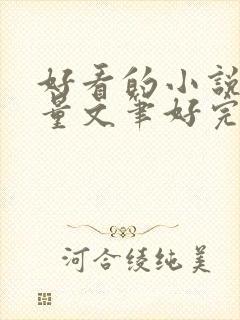 好看的小说高质量文笔好完结封面