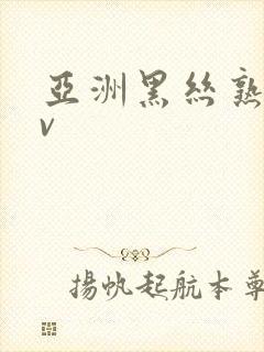 亚洲黑丝熟妇av