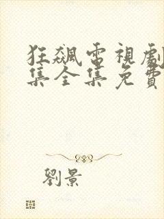 狂飙电视剧40集全集免费在线观看