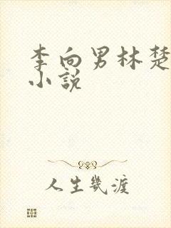 李向男林楚乔的小说