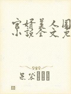 官婿美人图安江小说全文免费阅读