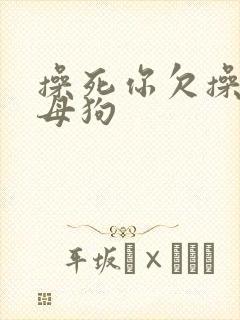 操死你欠操的骚母狗