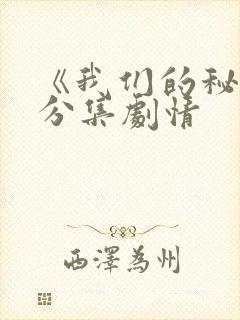 《我们的秘密》分集剧情