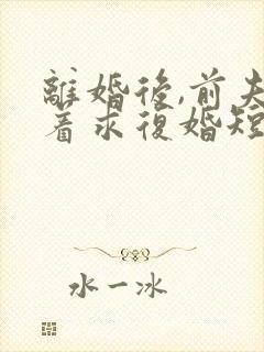 离婚后,前夫哭着求复婚短剧免费观看