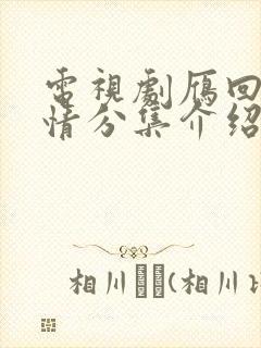 电视剧雁回时剧情分集介绍