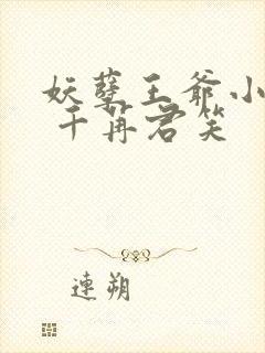 妖孽王爷小刁妃 千苒君笑