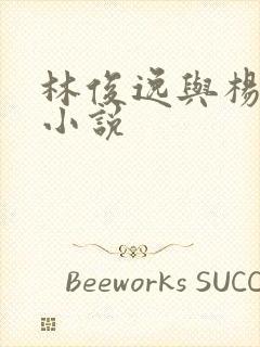 林俊逸与杨钰莹小说