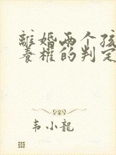 离婚两个孩子抚养权的判定标准封面