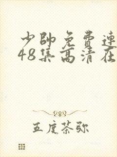 少帅免费连续剧48集高清在线观看