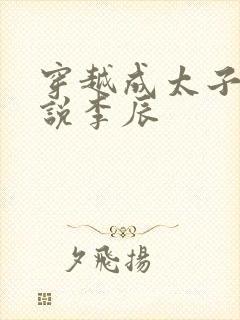 穿越成太子的小说李辰