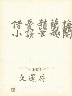 错爱赵兰梅孙明小说笔趣阁