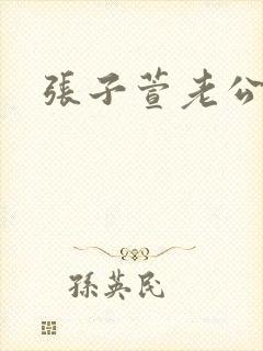 张子萱老公封面