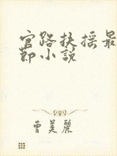 官路扶摇最新章节小说