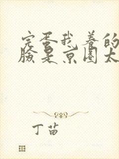 完蛋我养的小白脸是京圈太子爷免费