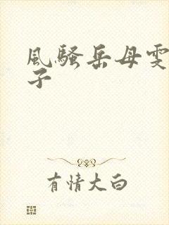 风骚岳母雯雯华子封面