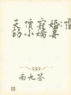 天价宠婚:霍少的小娇妻