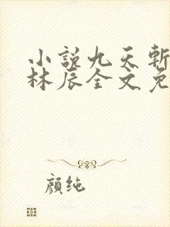 小说九天斩神诀林辰全文免费阅读