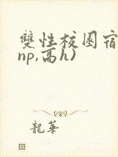 双性校园宿舍(np,高h)