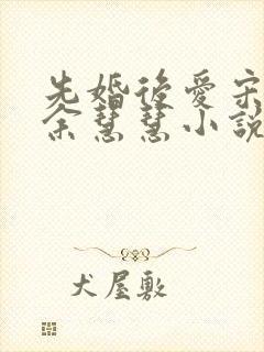 先婚后爱宋锦荣余慧慧小说