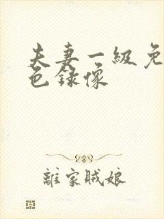 夫妻一级免费黄色录像封面