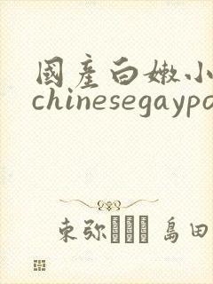 国产白嫩小鲜肉chinesegaypornsissy