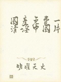 国产免费一级高清淫中国片