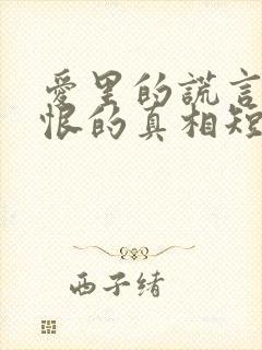 爱里的谎言,仇恨的真相短剧