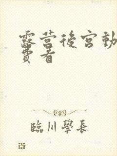 露营后宫动漫免费看