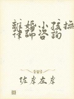 离婚小孩抚养权律师咨询