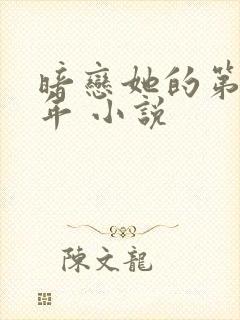 暗恋她的第十一年 小说