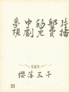 梦中的那片海电视剧免费播放