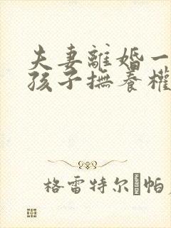 夫妻离婚一个男孩子抚养权怎么判定