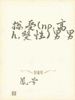 总受(np,高h,双性)男男封面
